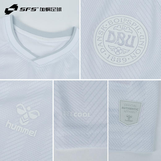 【连印号】SFS Hummel正品2022世界杯丹麦客场球衣球员版短袖埃里克森足球服 商品图2