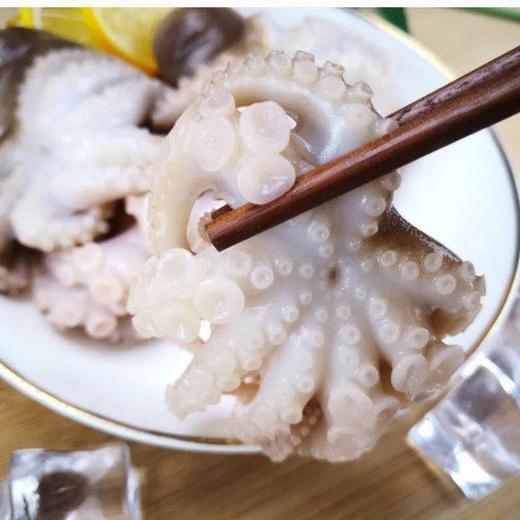 威豪佰味深海八爪鱼248g 商品图4