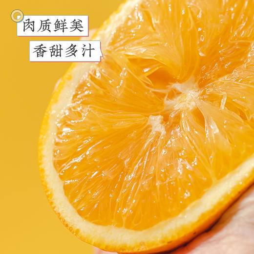 江西寻乌  赣南脐橙  多规格任选 商品图4
