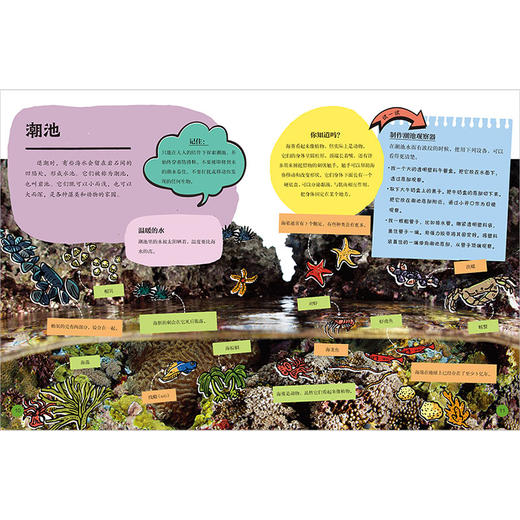 孩子背包里的大自然（探索系列）（4册套装） 商品图6