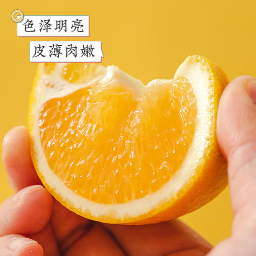 江西寻乌  赣南脐橙  多规格任选 商品图2