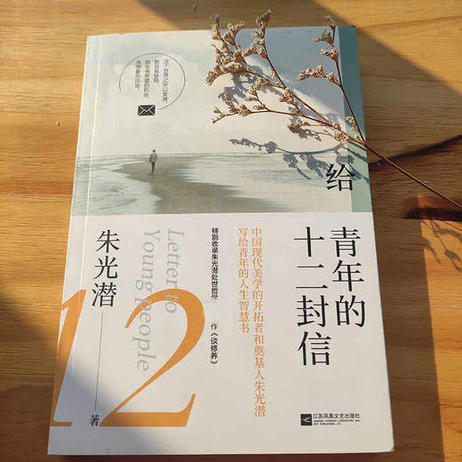 给青年的十二封信 朱光潜 著 文学 商品图1