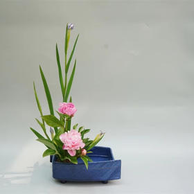 音昱静花流季节花道课——梵花意境