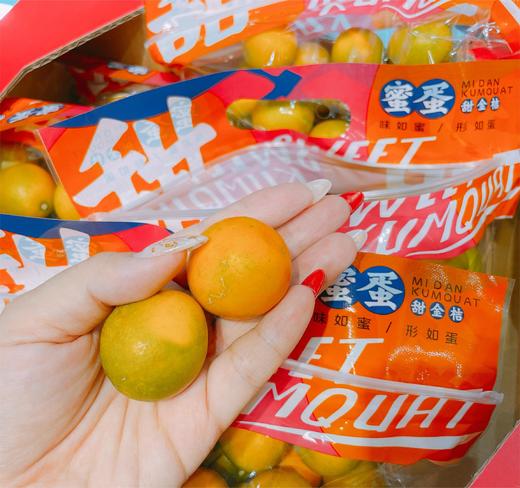 蜜蛋融安 • 甜金桔（大果 1斤/袋装）| 水果 商品图1
