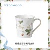 【WEDGWOOD】野草莓马克杯骨瓷杯子水杯茶杯咖啡杯欧式杯子 商品缩略图1