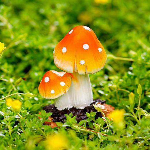 树脂小蘑菇摆件花盆景装饰品多肉苔藓微景观世界庭院鱼缸造景 商品图7