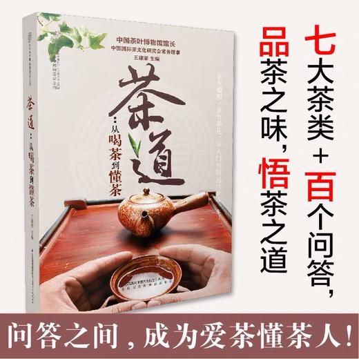 《茶道：从喝茶到懂茶（汉竹）》 商品图0