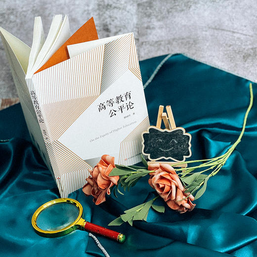 高等教育公平论 教育现代化 民主化 徐国兴 教育制度体系建设 商品图2