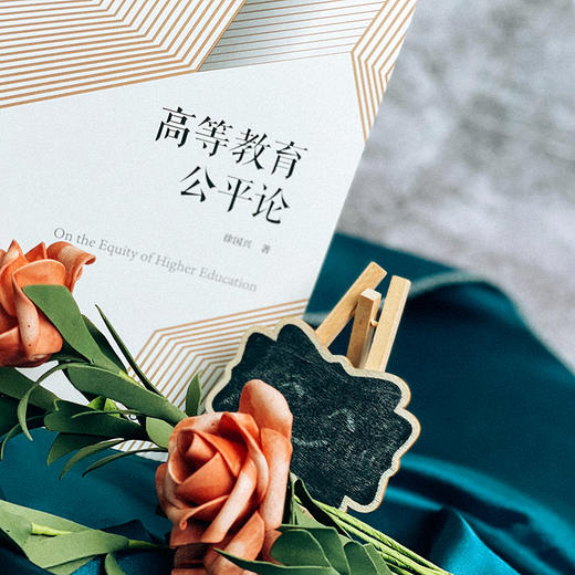 高等教育公平论 教育现代化 民主化 徐国兴 教育制度体系建设 商品图6