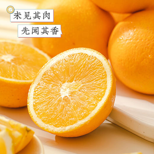 江西寻乌  赣南脐橙  多规格任选 商品图3
