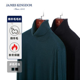 【100%绵羊毛】男士羊毛衫秋冬款打底中青年半高领翻领时尚羊毛衣