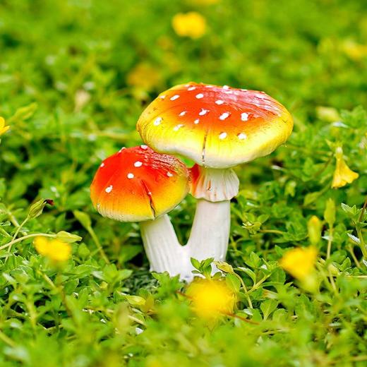 树脂小蘑菇摆件花盆景装饰品多肉苔藓微景观世界庭院鱼缸造景 商品图8