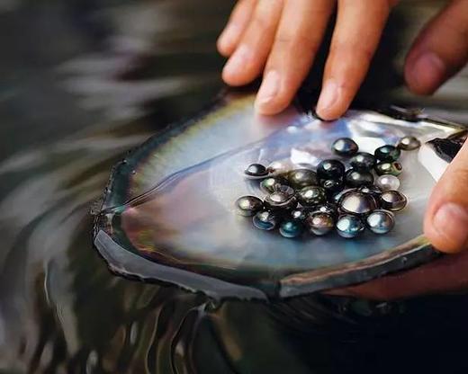 大溪地黑珍珠18K金钻石镶嵌节日季设计吊坠 商品图7