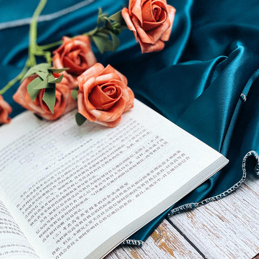 高等教育公平论 教育现代化 民主化 徐国兴 教育制度体系建设 商品图10