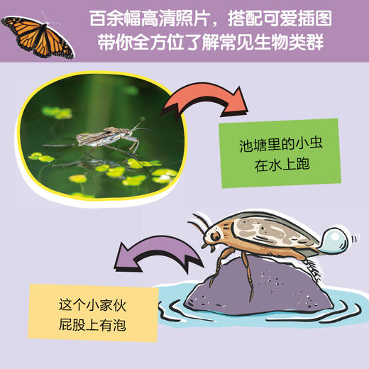 孩子背包里的大自然（探索系列）（4册套装） 商品图3