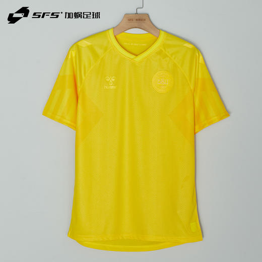 【连印号】SFS Hummel正品2022世界杯丹麦球员版足球守门员服舒梅切尔门将服 商品图1