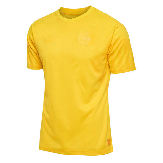 【连印号】SFS Hummel正品2022世界杯丹麦球员版足球守门员服舒梅切尔门将服 商品图4