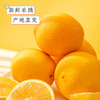 江西寻乌  赣南脐橙  多规格任选 商品缩略图1