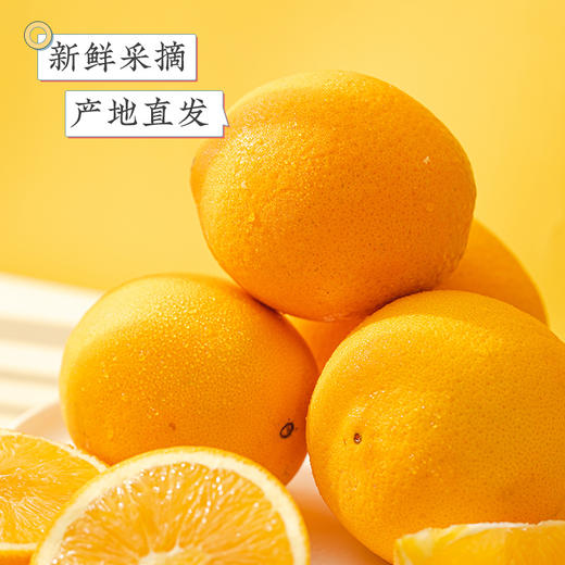 江西寻乌  赣南脐橙  多规格任选 商品图1