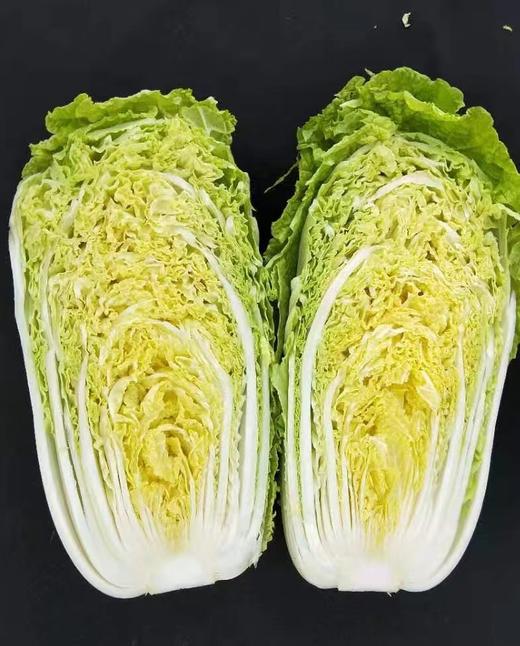 【农场直邮】有机黄金水果白菜|5斤（宋洁农场） 商品图2