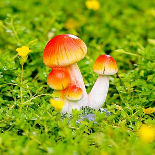 树脂小蘑菇摆件花盆景装饰品多肉苔藓微景观世界庭院鱼缸造景 商品图9