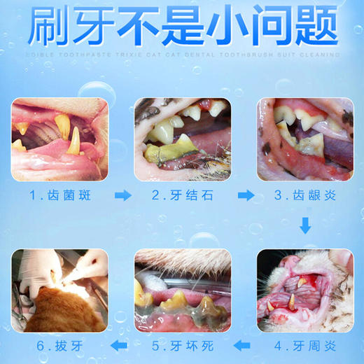 特瑞仕猫牙刷套装口腔清洁除口臭奶酪味可食用猫咪牙膏50g/套 商品图2