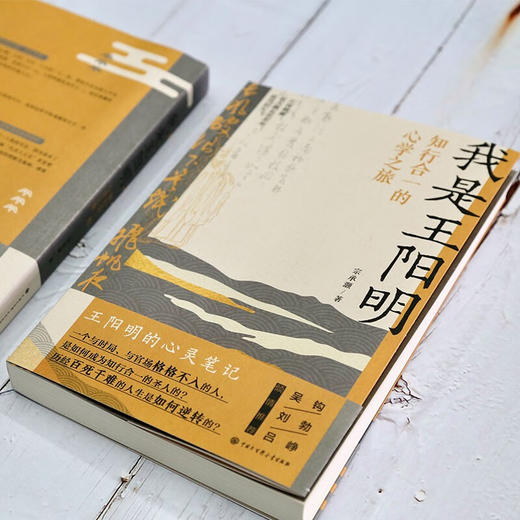 我是王阳明 知行合一的心学之旅 宗承灏 著 文化 商品图3