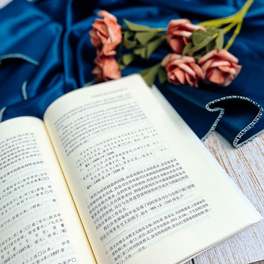 古典学研究 古典自然法再思考 哲学研究 六点图书 刘小枫 贺方婴 主编 商品图11