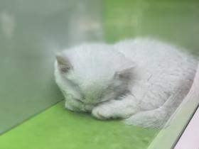 测试分销商品勿拍