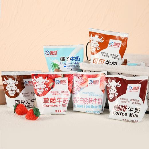 海河多味牛奶220毫升 商品图0