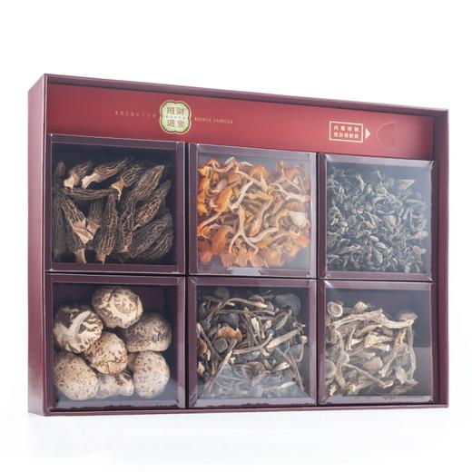 云小君招财进宝 食用菌礼盒 云南高原特色食用菌 商品图5