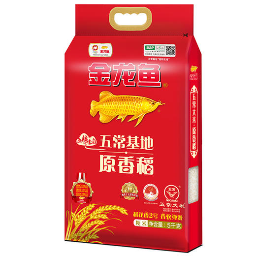 金龙鱼 五常大米 五常稻花香大米 东北大米 原香稻5kg 商品图2