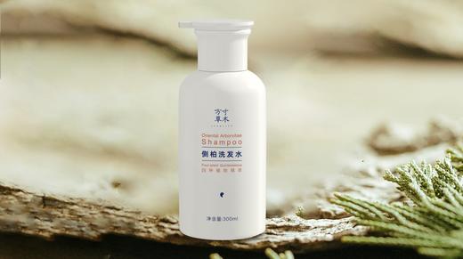 侧柏洗发水口碑反馈 商品图0