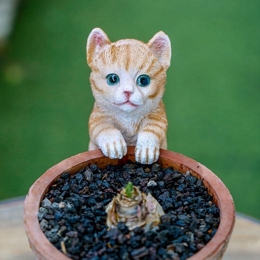 仿真可爱家居柯基猫咪饰品动物盆挂花园花盆小装饰品阳台挂件摆件 商品图6