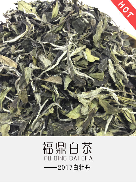 2017年 白牡丹（散茶） 商品图0