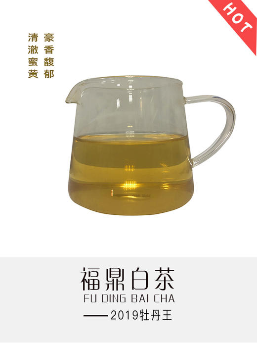 2019年牡丹王 商品图3