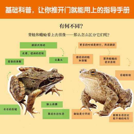 孩子背包里的大自然（探索系列）（4册套装） 商品图4