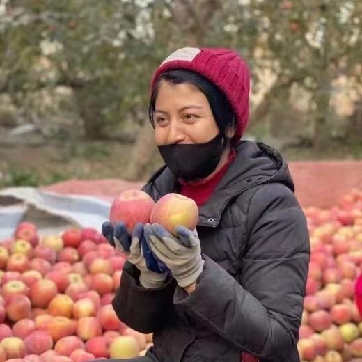 【新疆阿克苏冰糖心苹果】果肉细腻，肉质色泽略黄，咀嚼后果味浓郁、基本无残渣 商品图7