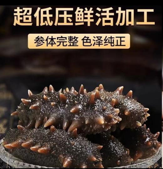 好当家即食海参40g/头 商品图0