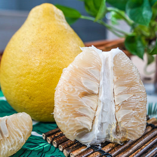 【广西特产】容县沙田柚  名优特产  纯甜果肉   送礼佳品  精品沙田柚 礼盒装 商品图2