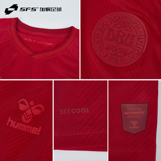 【连印号】SFS Hummel正品2022世界杯丹麦主场球衣球员版短袖埃里克森足球服 商品图2