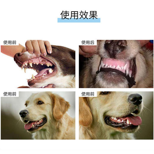 宠物牙膏牙刷套装牛肉味宠物牙齿口腔清洁狗狗牙刷/1套 商品图1