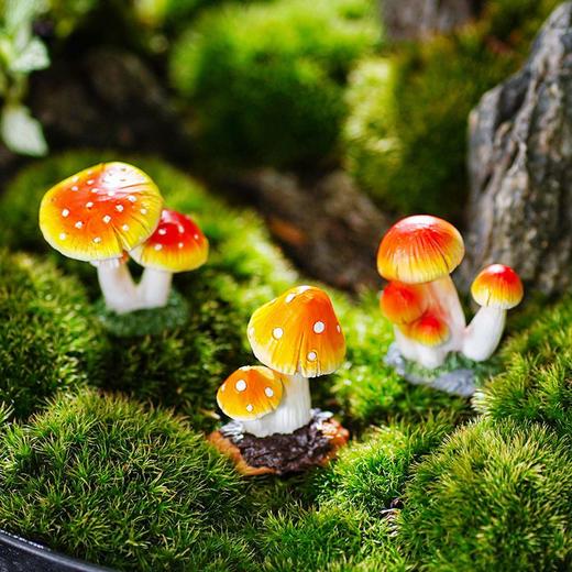 树脂小蘑菇摆件花盆景装饰品多肉苔藓微景观世界庭院鱼缸造景 商品图2