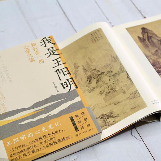 我是王阳明 知行合一的心学之旅 宗承灏 著 文化 商品图2
