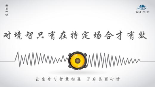 对境智只有在特定场合才有效 商品图0