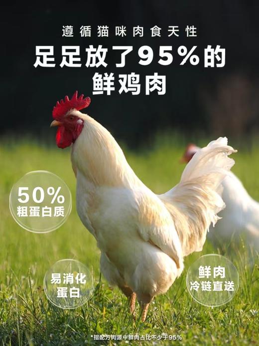 「95%纯鸡肉添加 主食冻干」卫仕X95冻干鲜肉猫粮320g 鲜鸡肉配方 英短美短猫咪通用 商品图3