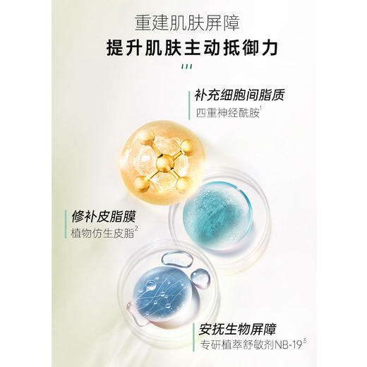 【张晓洁博士研发】SHOODANA舒丹娜安肤舒缓面霜 50g/瓶 商品图4