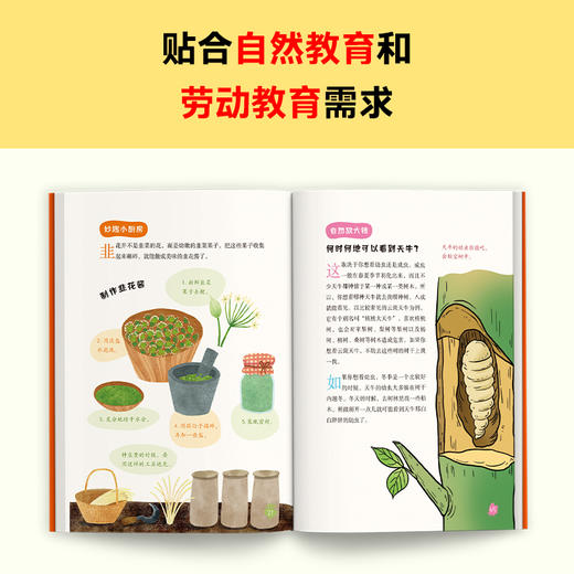 古诗词里的自然常识（全4册）6岁+ 近80首古诗词 讲解80种物种的由来 演变和生长 商品图5