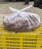  西瓜红红薯 5kg/袋  五家渠有机种植 商品缩略图3