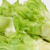 放心儿菜 约400g/份 商品缩略图2